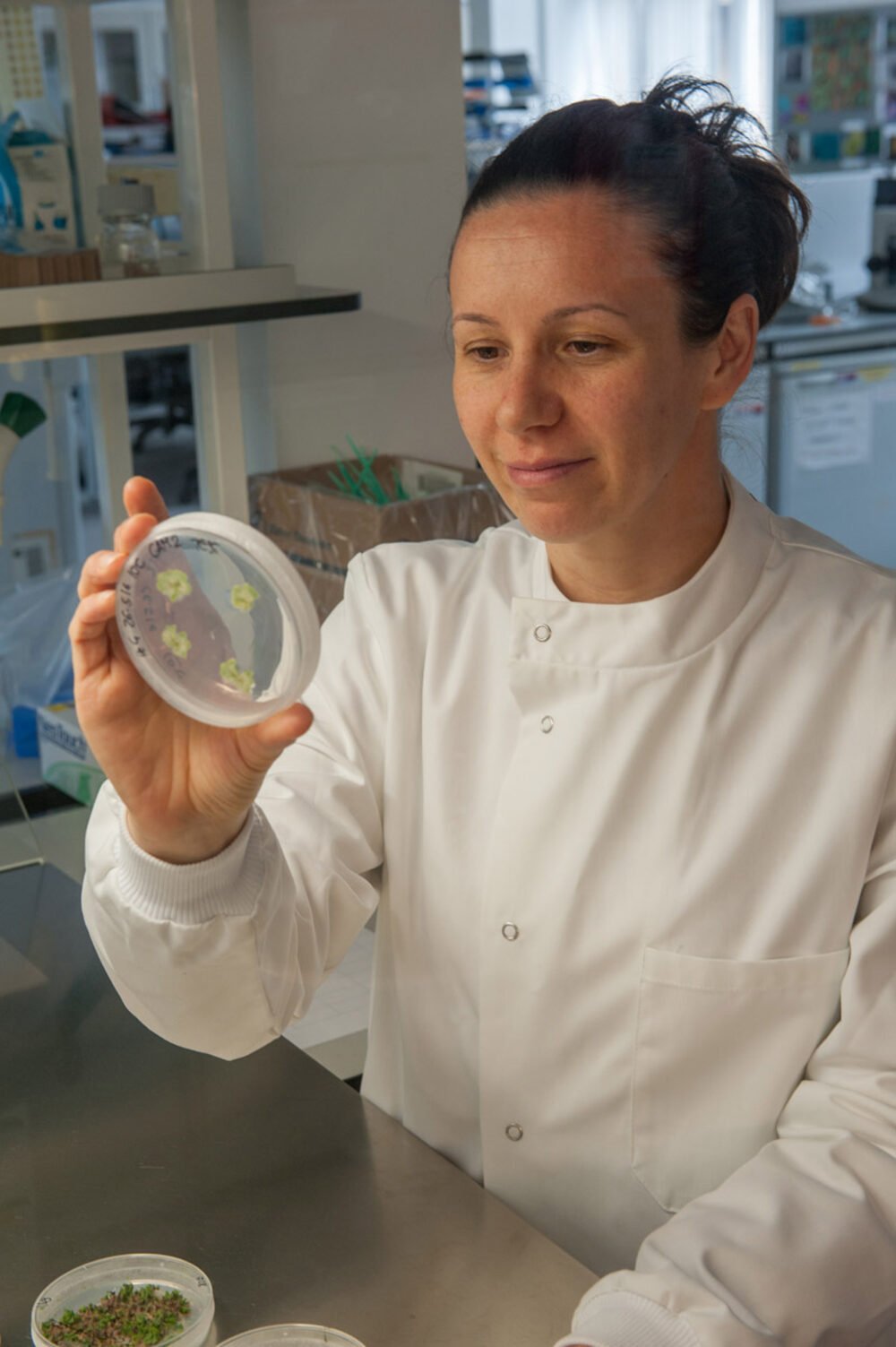 University of Cambridge, Department of Plant Sciences — brand photography.